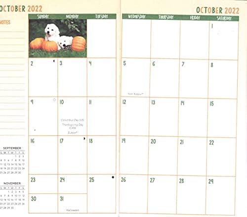 Greenbier Меѓународни Puppies 2022 - 2023 2 Година Џеб Излет / Calendar / Организатор - Месечна Страница Формат